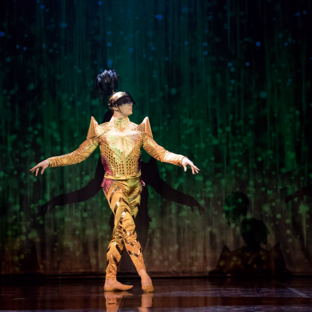 P&Auml;IKESEKUNINGA K&Uuml;LLUSESARV HIILGUSES JA VILETSUSES