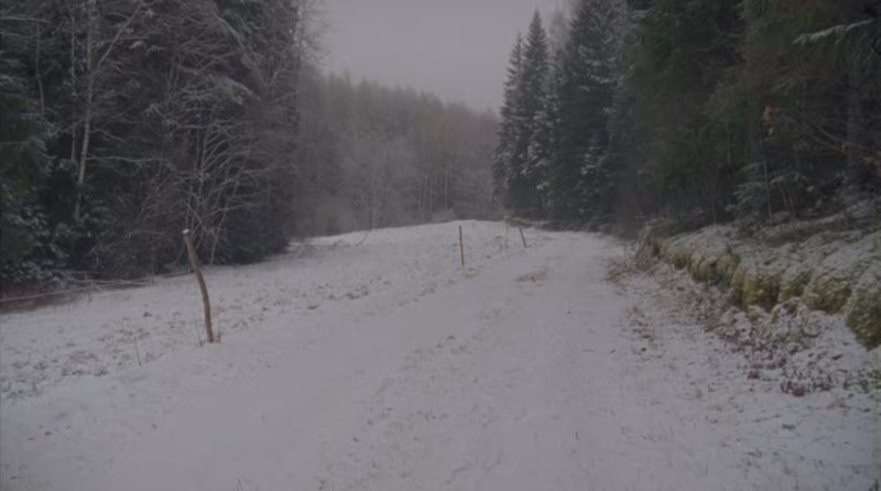 VIIBIMINE JA VABANEMINE. LIIS NIMIKU LÄBITUNTUD PÄIKESEAEG