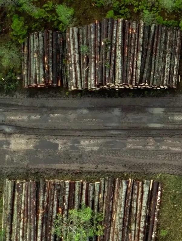 12acda944f229aaca1fdccb29d494e77b63d86ea