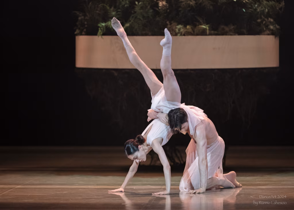 20241127 Valgusmaailmalopust 1900 02851