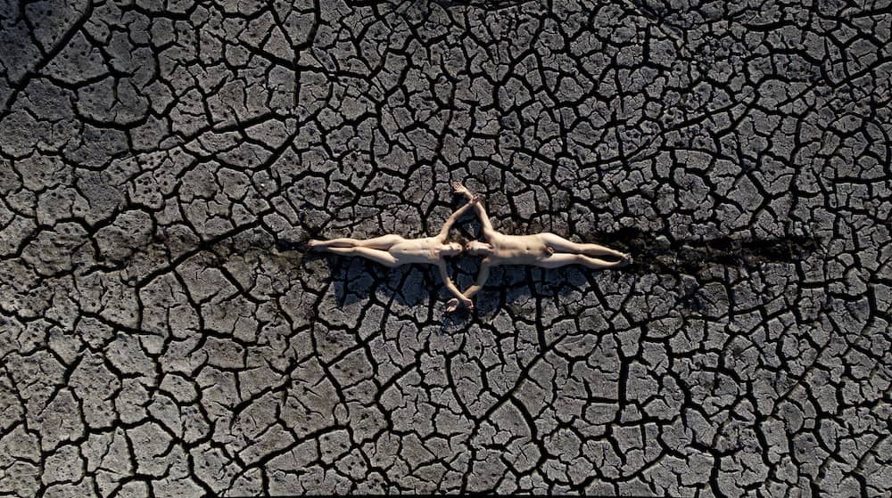 Mttw2024 Gaia©denys Melnyk 1 1