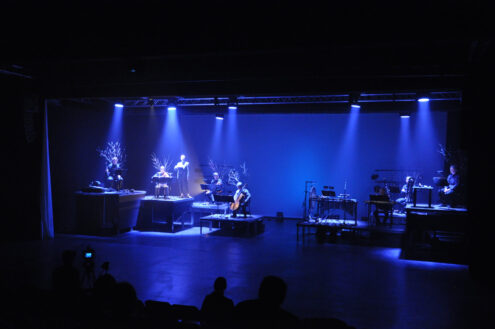 Käidi Ja Külvati Varjude Seemneid Gabriela Liivamägi Foto